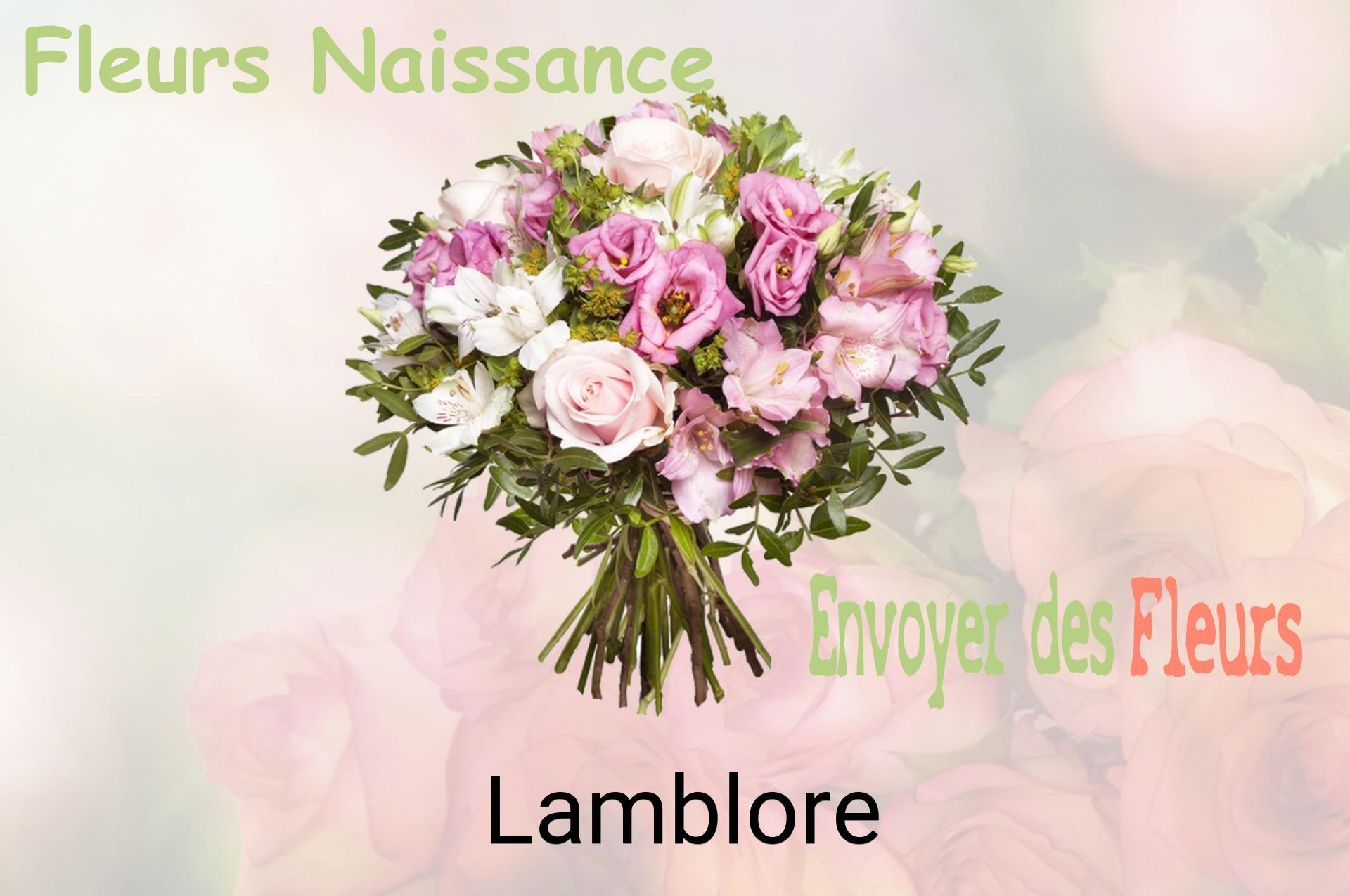 Bouquet de fleurs de naissance livré à Lamblore