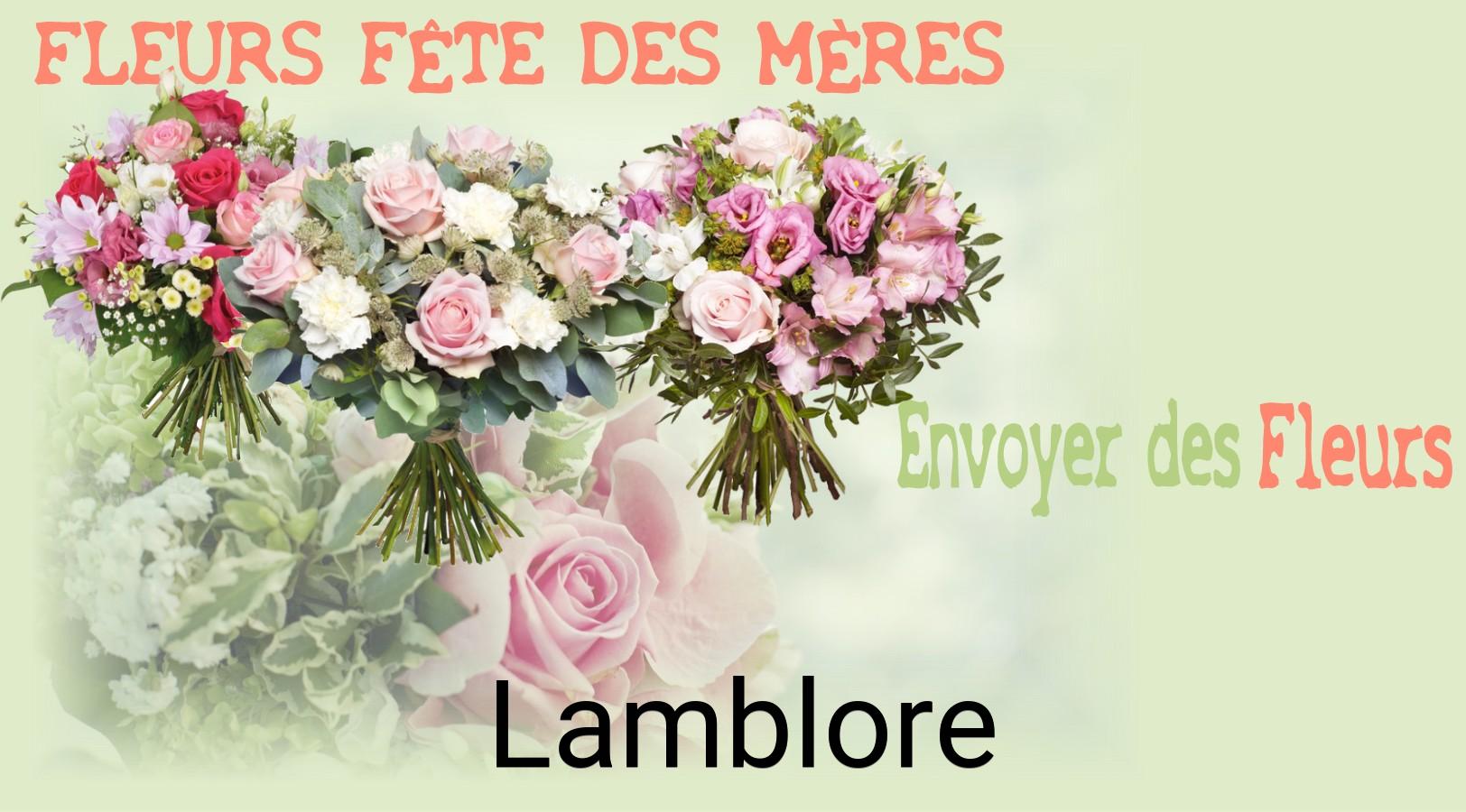 Bouquet de Fête des Mères livré à Lamblore